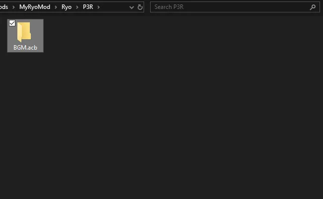 An ACB folder in the game's folder.